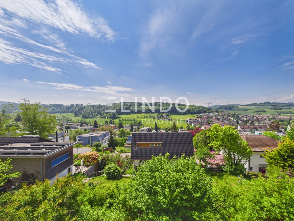 Weitblick & Sonne – Ihr Traumhaus in Birmensdorf